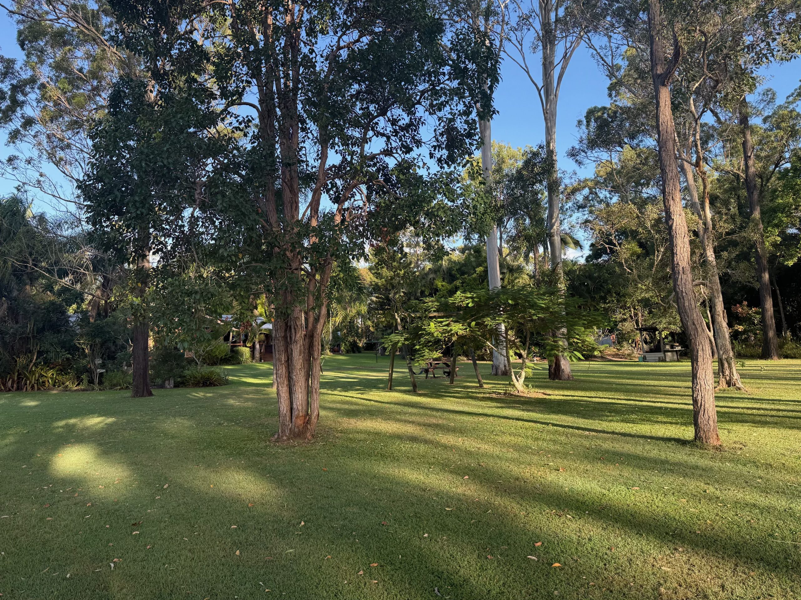 200 Parke Avenue, SUNSHINE ACRES, QLD 4655 AUS