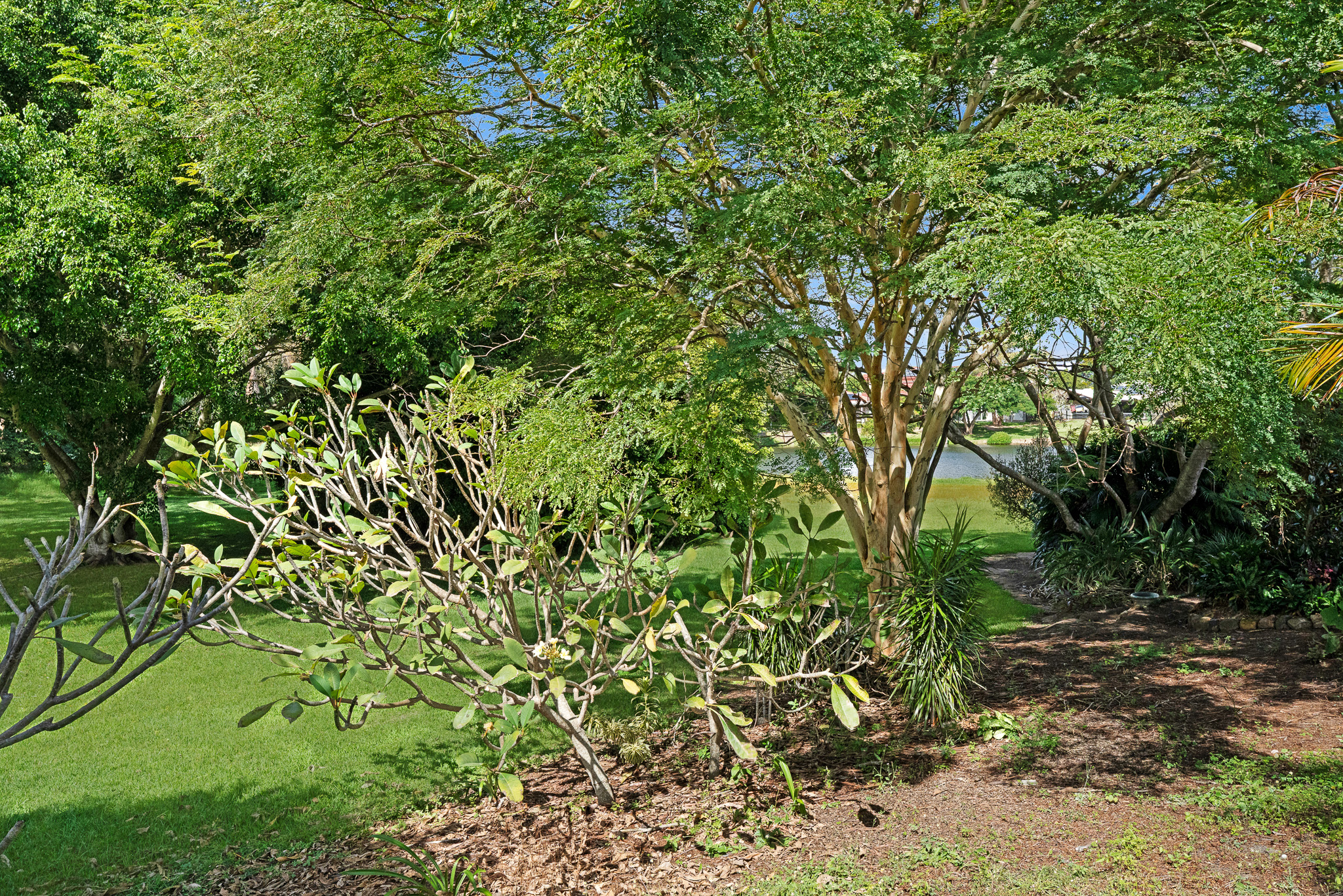 12 Treviso Court, URANGAN, QLD 4655 AUS