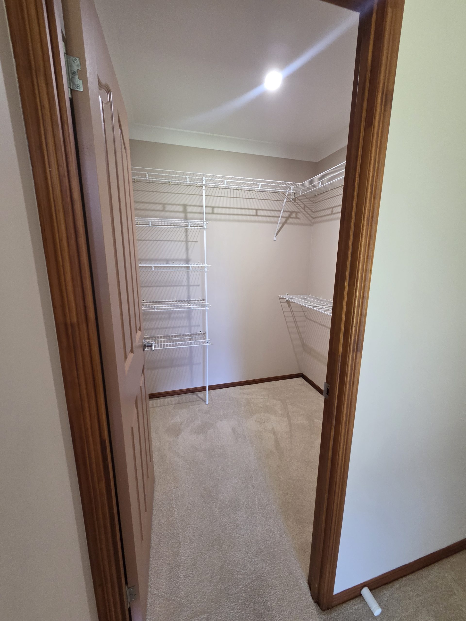 19 Archer Drive, POINT VERNON, QLD 4655 AUS