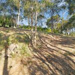 20 Longview  Drive, RIVER HEADS, QLD 4655 AUS