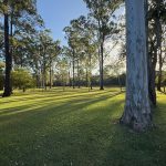 200 Parke Avenue, SUNSHINE ACRES, QLD 4655 AUS