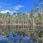 81 Moes Road, WALLIGAN, QLD 4655 AUS