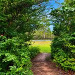 81 Moes Road, WALLIGAN, QLD 4655 AUS