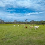 354-392 Pialba Burrum Heads Road, DUNDOWRAN, QLD 4655 AUS