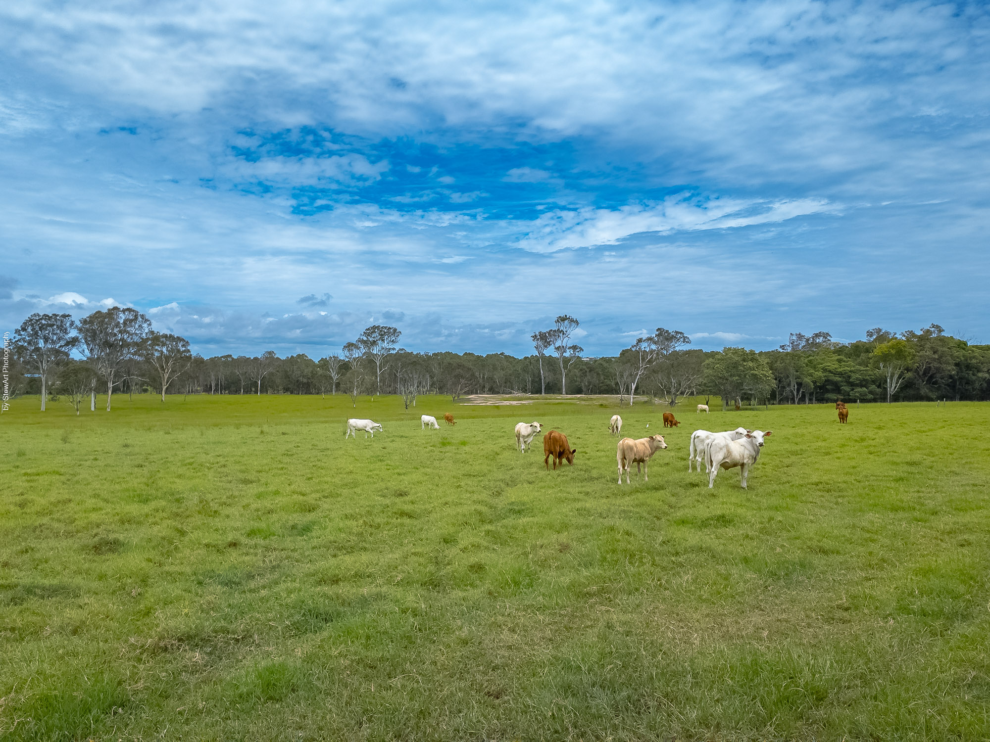 354-392 Pialba Burrum Heads Road, DUNDOWRAN, QLD 4655 AUS