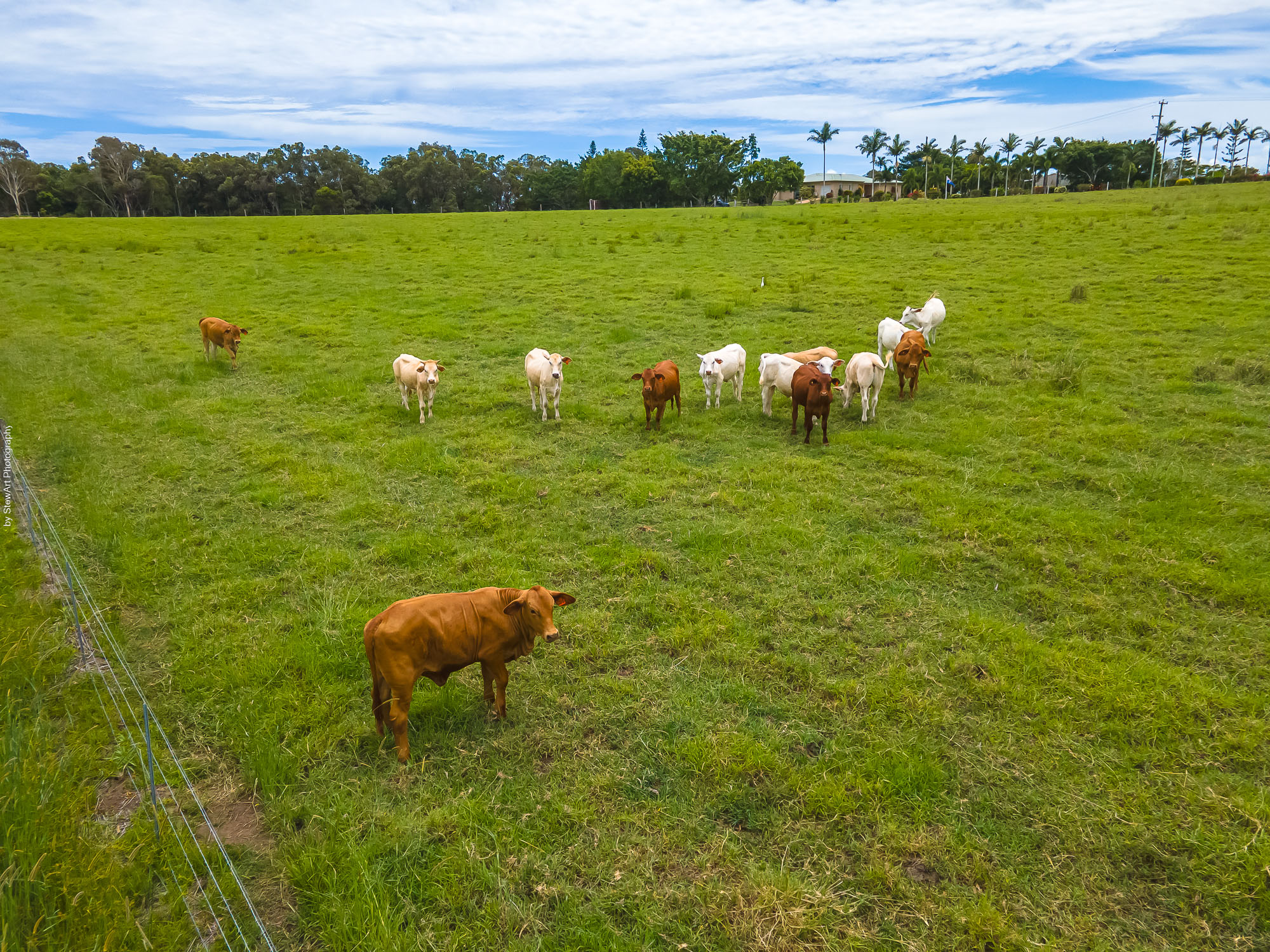 354-392 Pialba Burrum Heads Road, DUNDOWRAN, QLD 4655 AUS