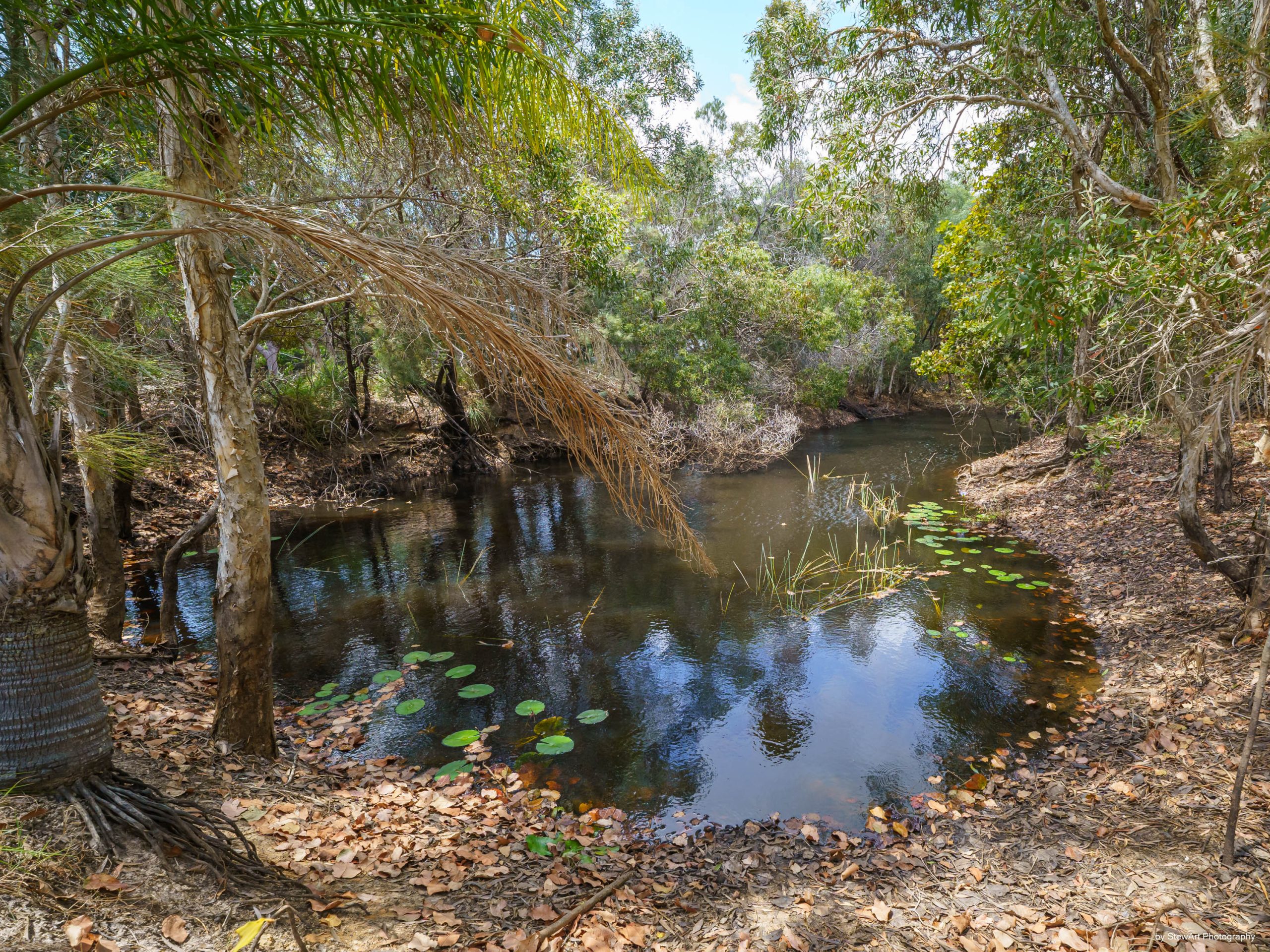 33 Shore Road West, BOORAL, QLD 4655 AUS