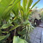 157 Truro Street, URANGAN, QLD 4655 AUS
