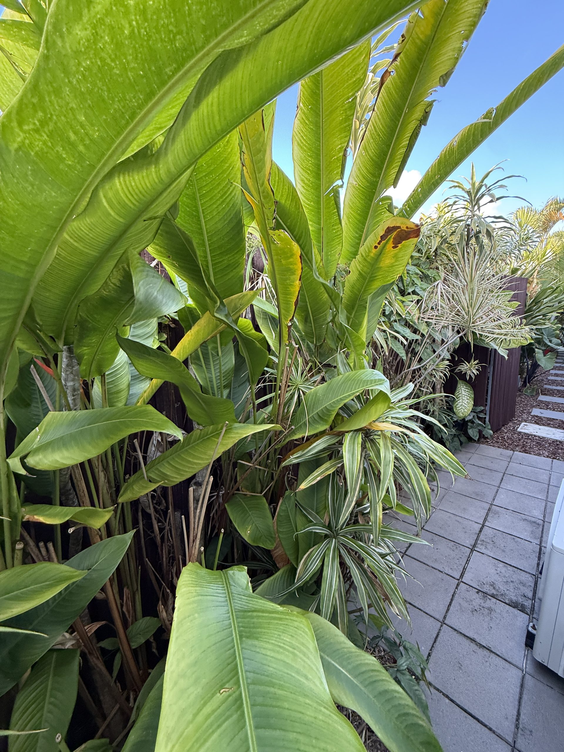 157 Truro Street, URANGAN, QLD 4655 AUS