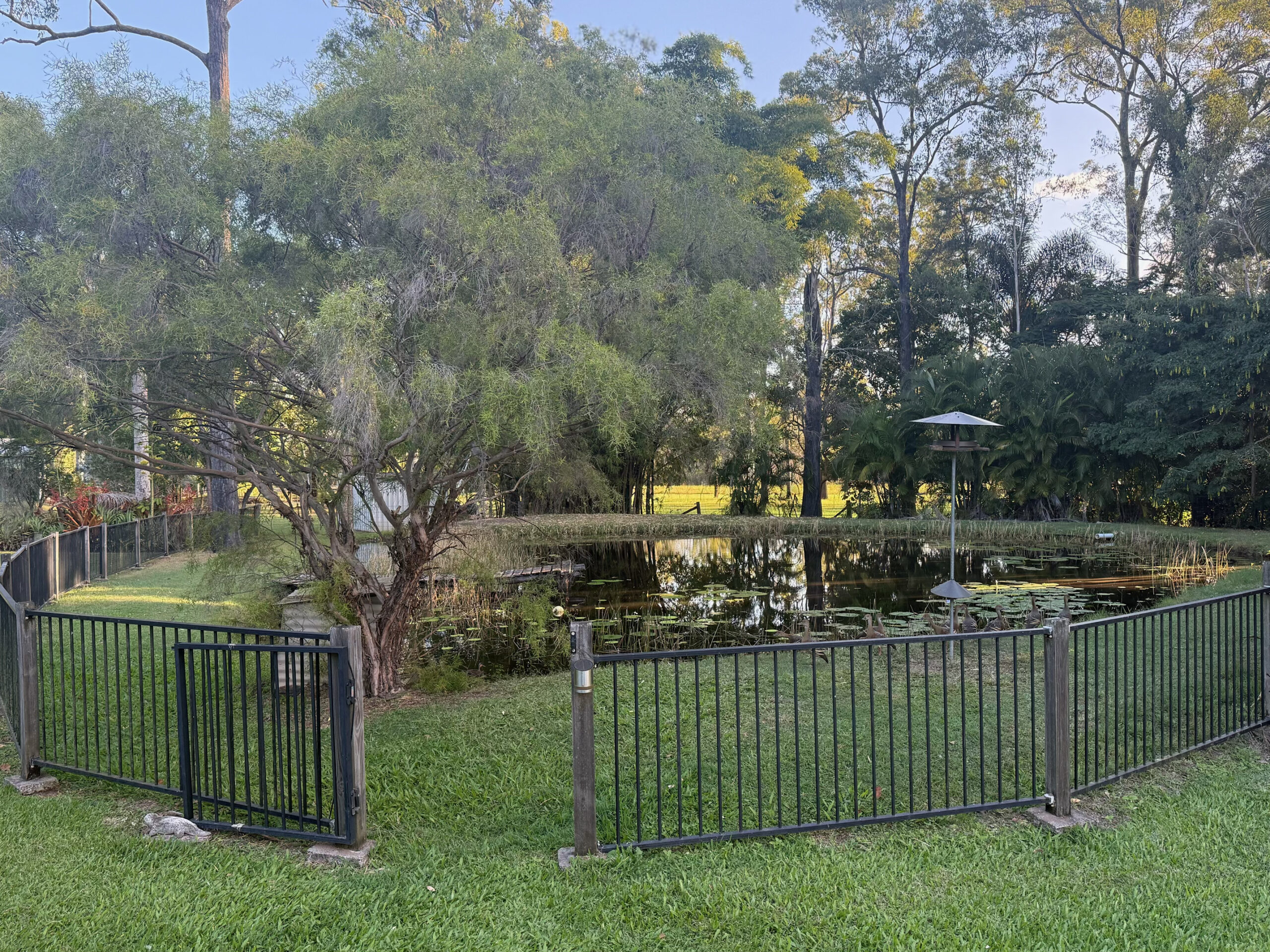200 Parke Avenue, SUNSHINE ACRES, QLD 4655 AUS