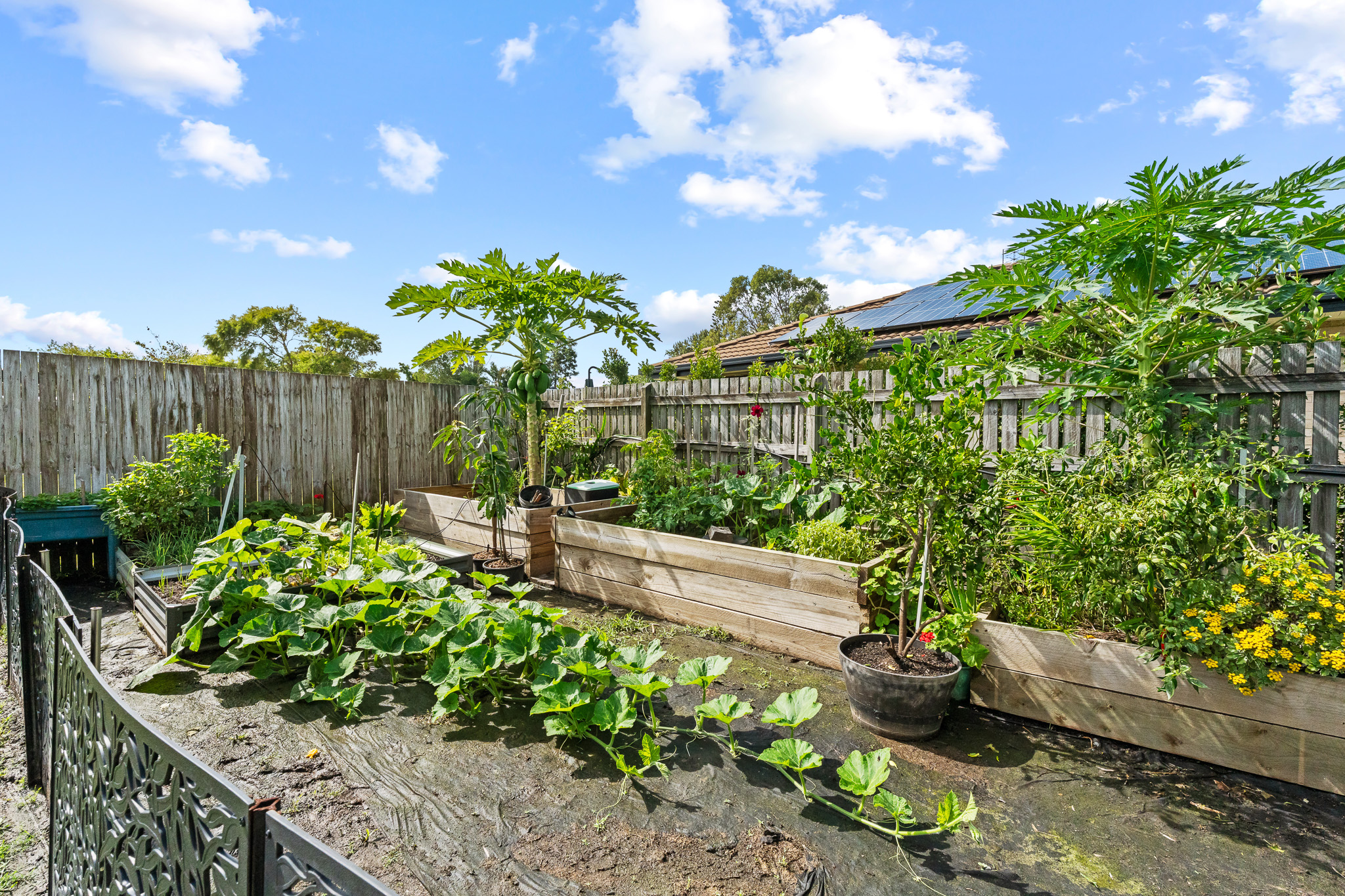 12 Ladbroke Crescent, URANGAN, QLD 4655 AUS
