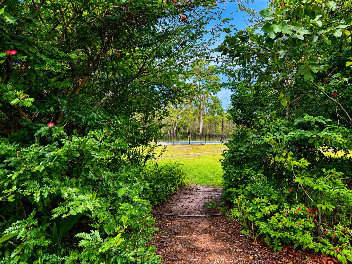 81 Moes Road, WALLIGAN, QLD 4655 AUS