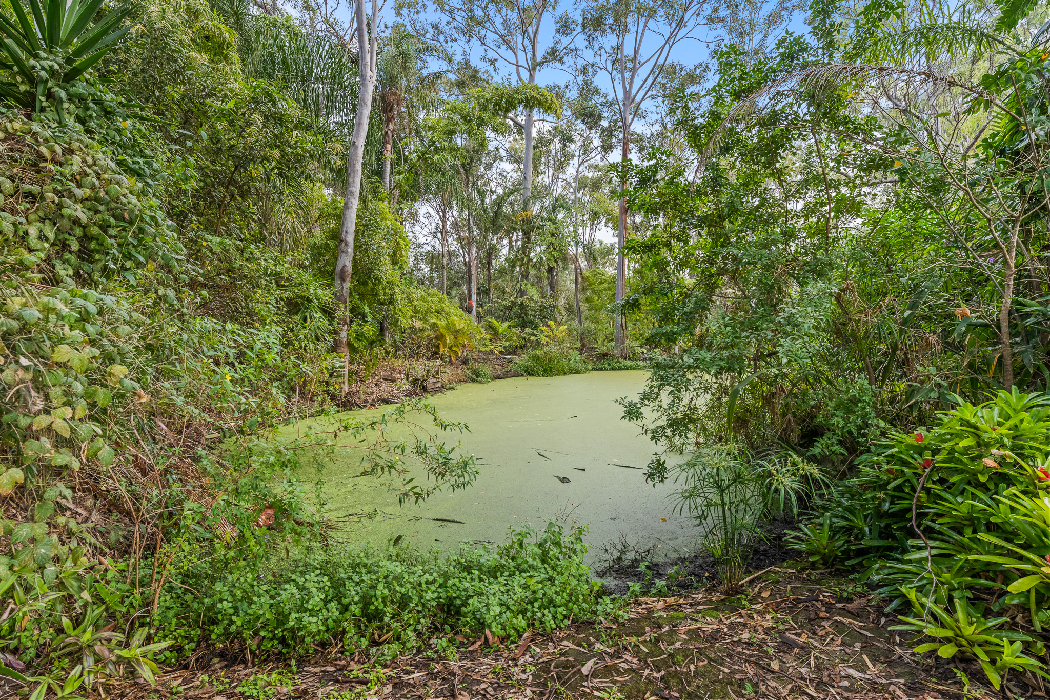 105 Garden Drive, URANGAN, QLD 4655 AUS