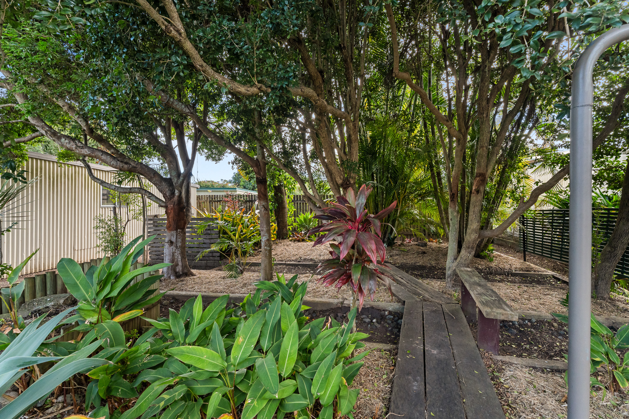 37 Halcro Street, PIALBA, QLD 4655 AUS