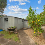 17 Tanna Street, PIALBA, QLD 4655 AUS