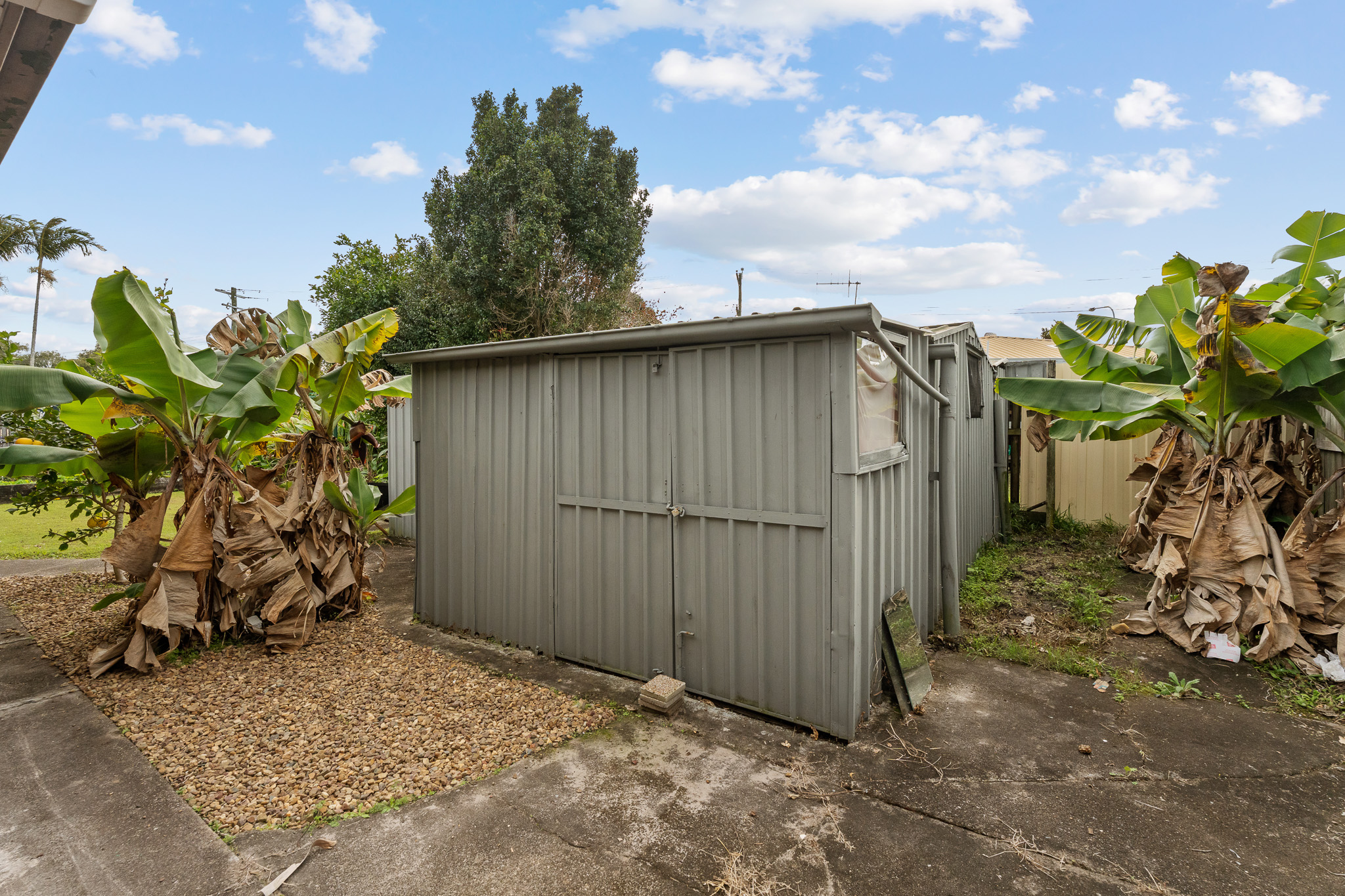 17 Tanna Street, PIALBA, QLD 4655 AUS