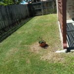 25 Vicki Parade, TORQUAY, QLD 4655 AUS