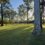 200 Parke Avenue, SUNSHINE ACRES, QLD 4655 AUS