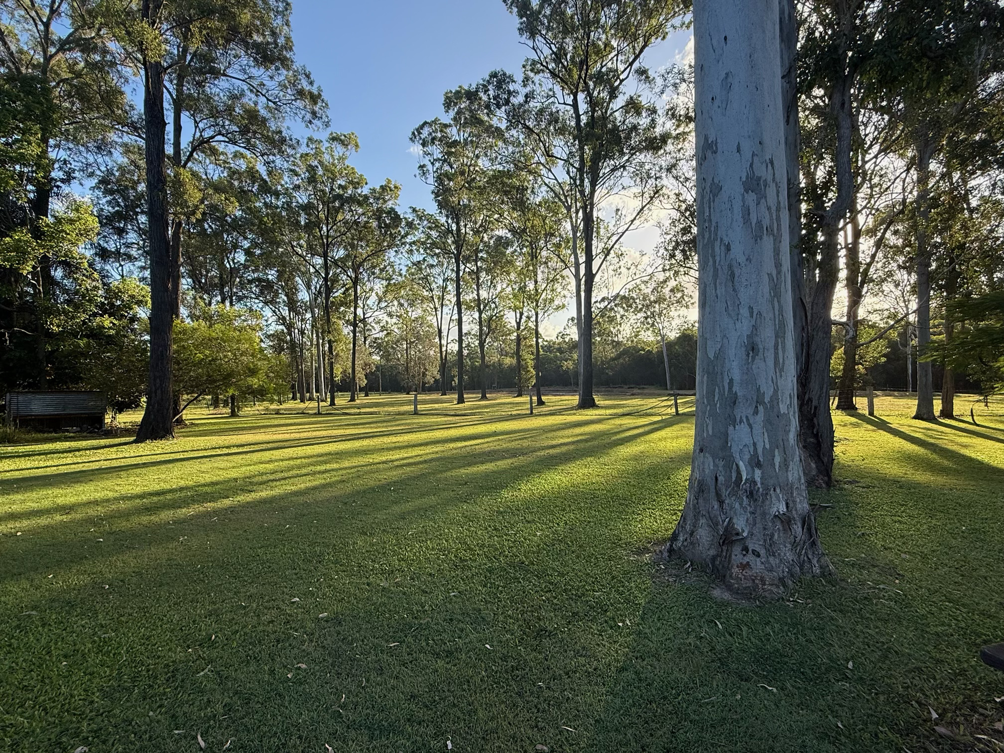 200 Parke Avenue, SUNSHINE ACRES, QLD 4655 AUS