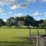 200 Parke Avenue, SUNSHINE ACRES, QLD 4655 AUS