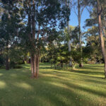 200 Parke Avenue, SUNSHINE ACRES, QLD 4655 AUS