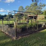 200 Parke Avenue, SUNSHINE ACRES, QLD 4655 AUS