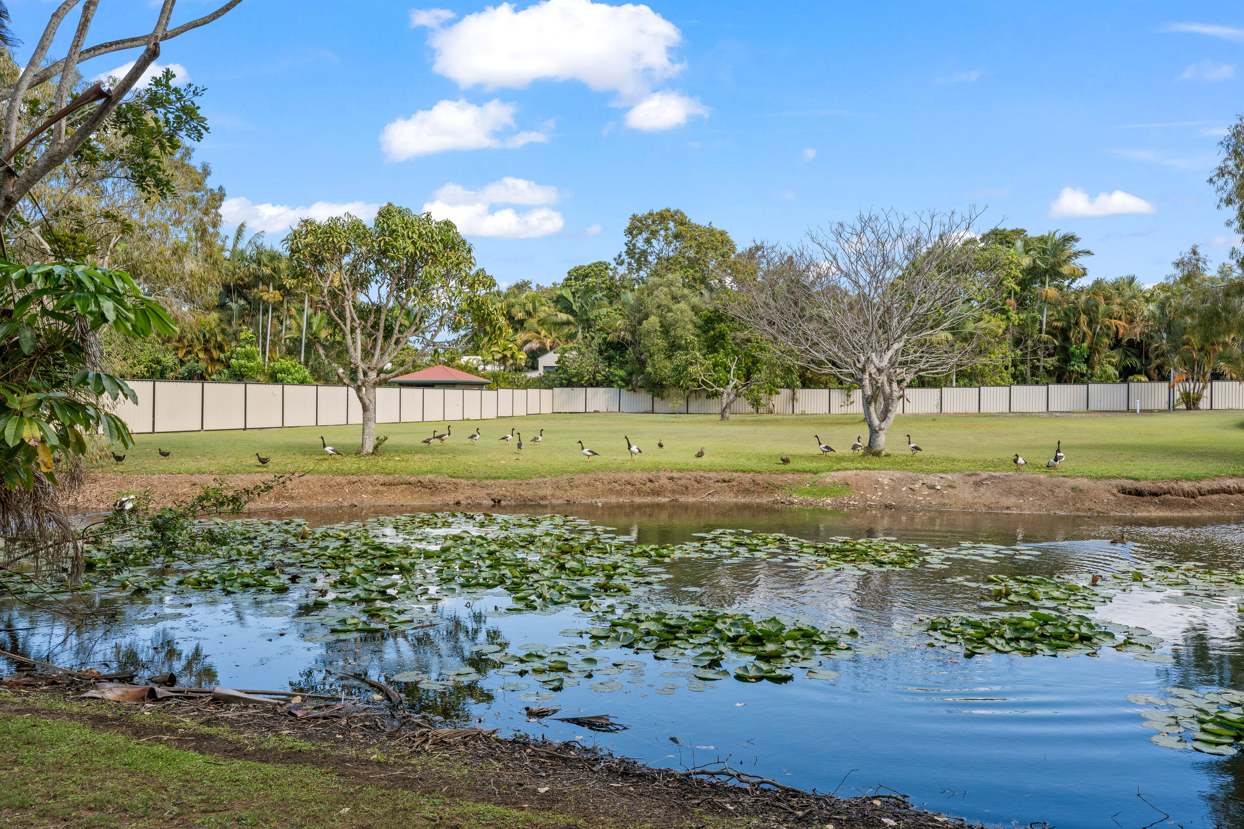 8 Kauri Court, DUNDOWRAN BEACH, QLD 4655 AUS
