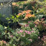 11 Hockley Lane, URANGAN, QLD 4655 AUS