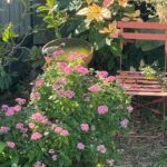 11 Hockley Lane, URANGAN, QLD 4655 AUS