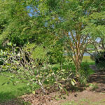 12 Treviso Court, URANGAN, QLD 4655 AUS