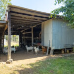 176 Woods Road, NIKENBAH, QLD 4655 AUS