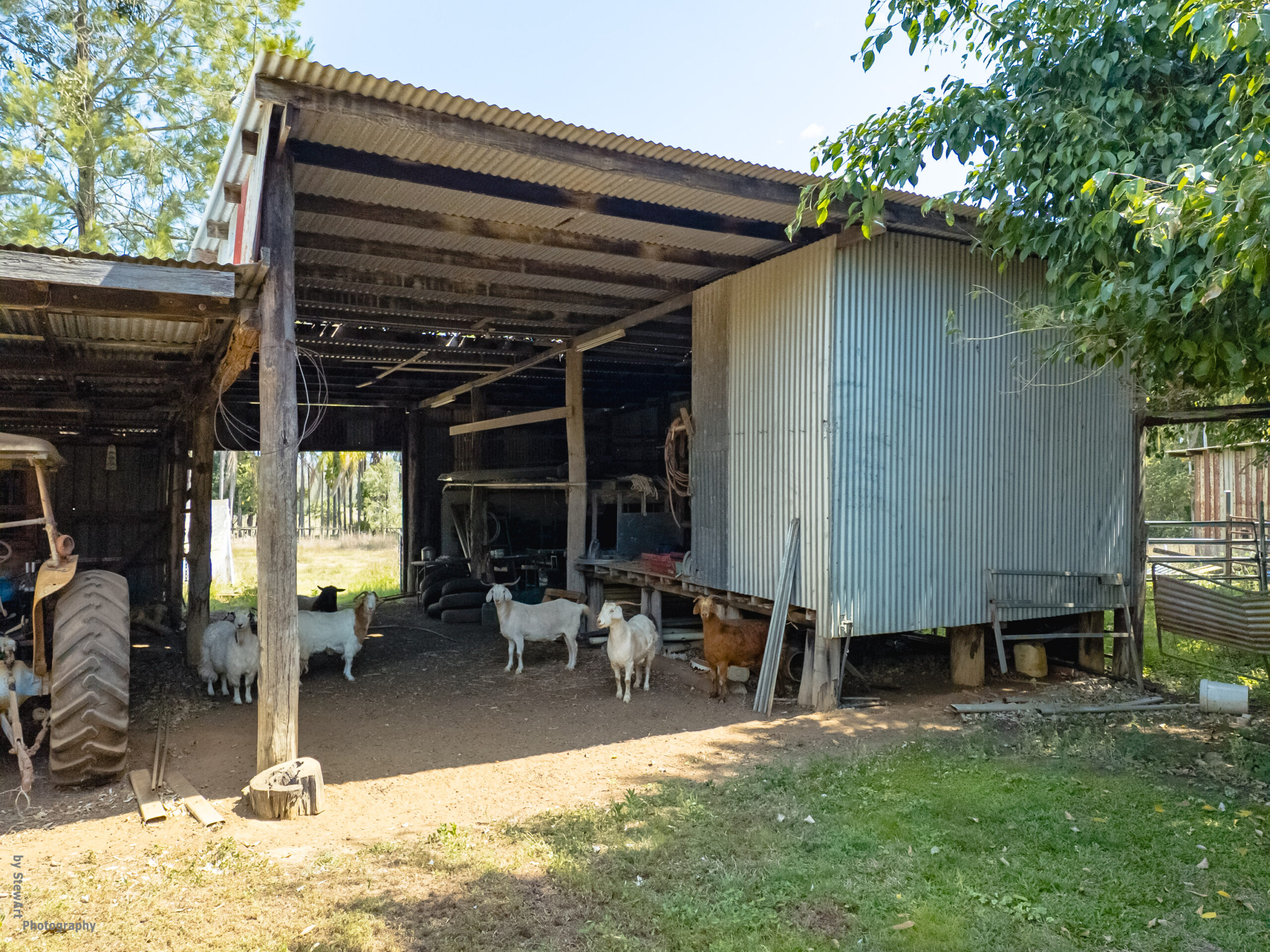 176 Woods Road, NIKENBAH, QLD 4655 AUS