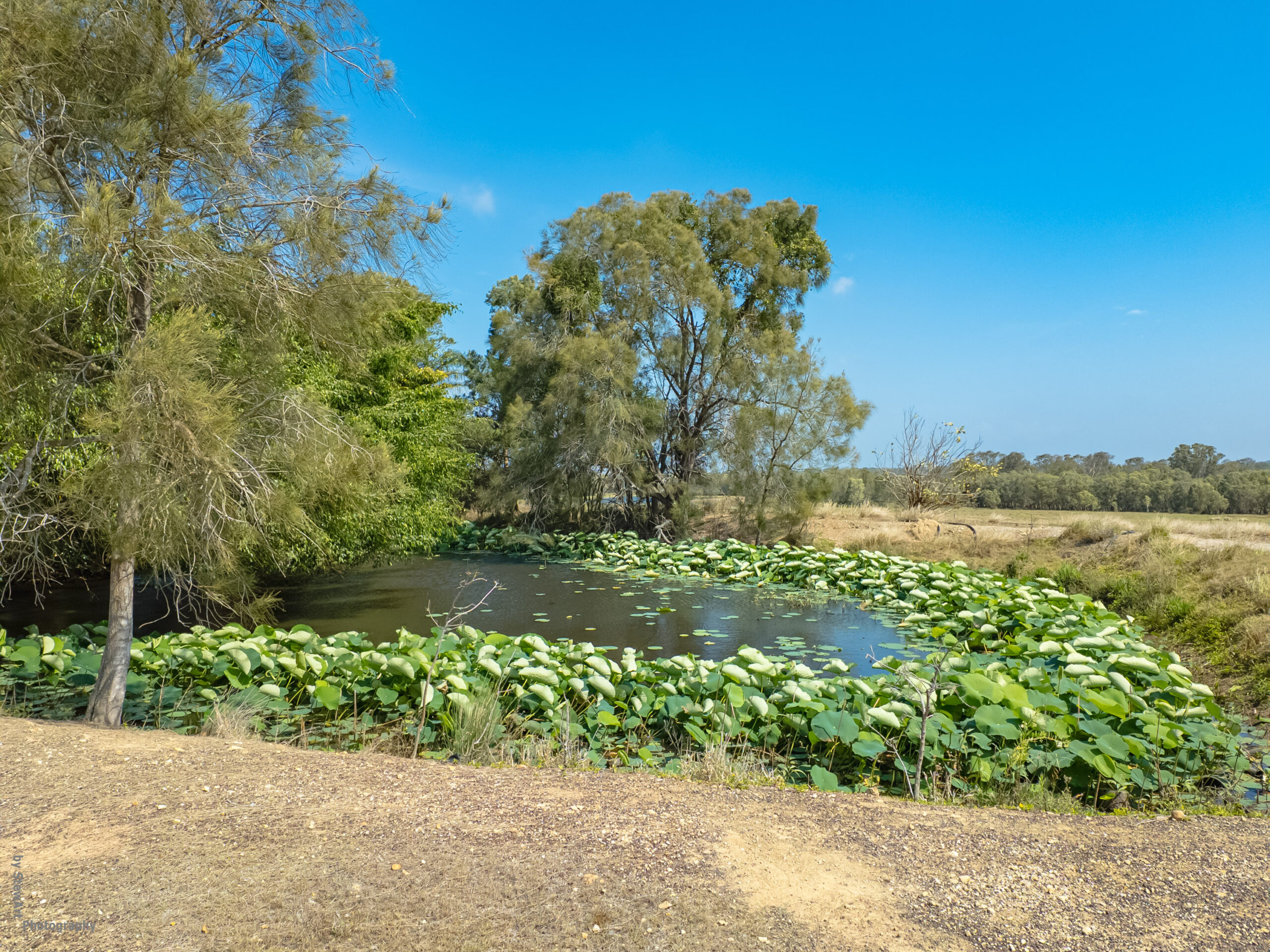 176 Woods Road, NIKENBAH, QLD 4655 AUS
