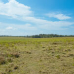 176 Woods Road, NIKENBAH, QLD 4655 AUS