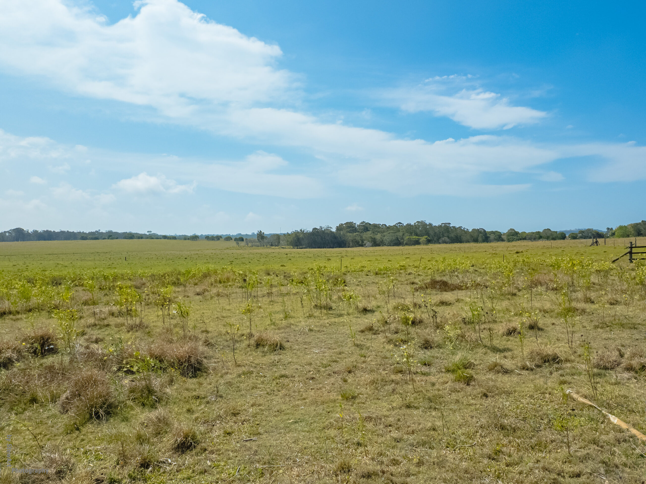 176 Woods Road, NIKENBAH, QLD 4655 AUS